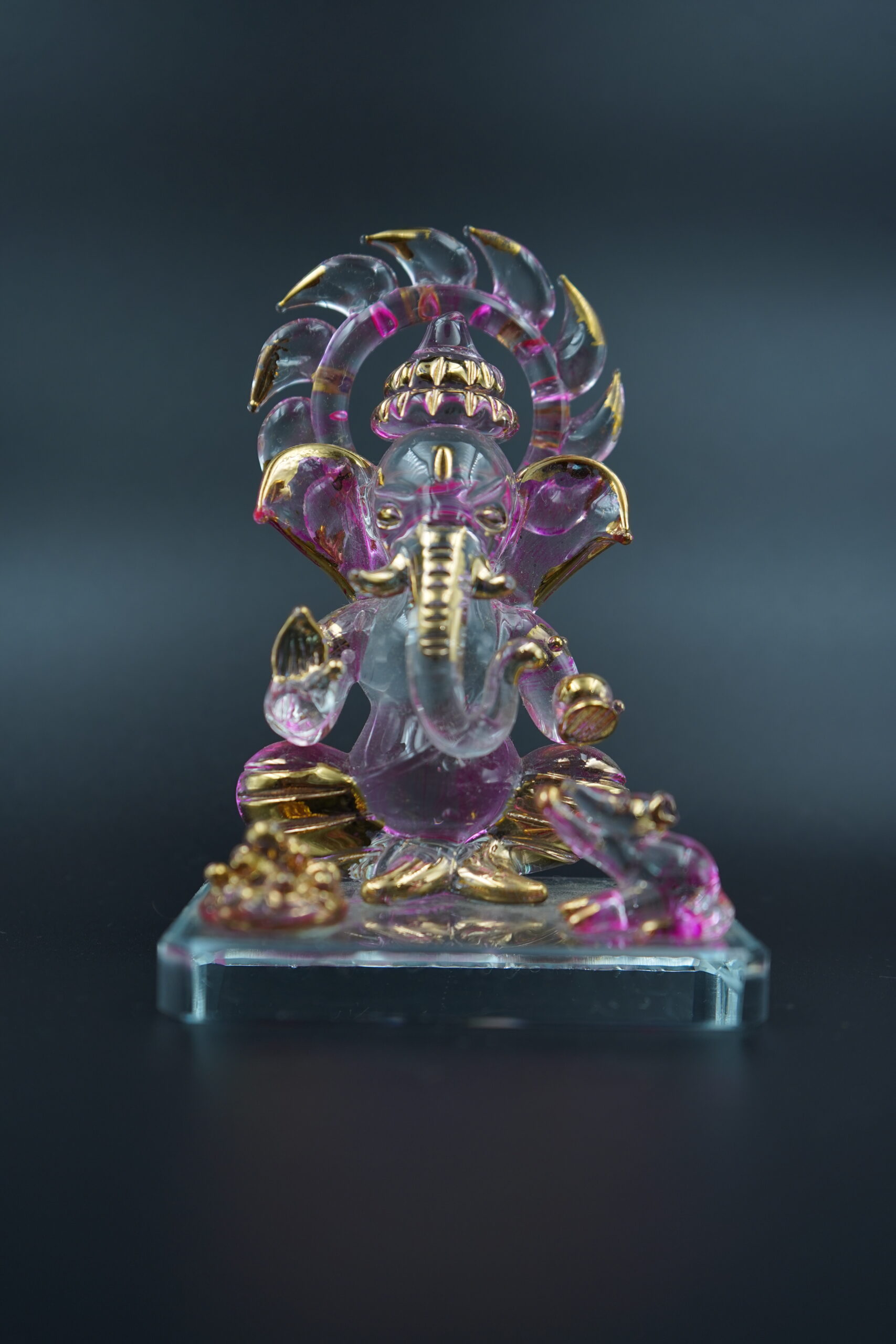 Copy of DSC01151